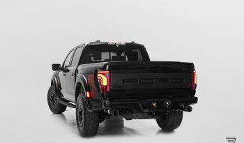 Ford Raptor R completo