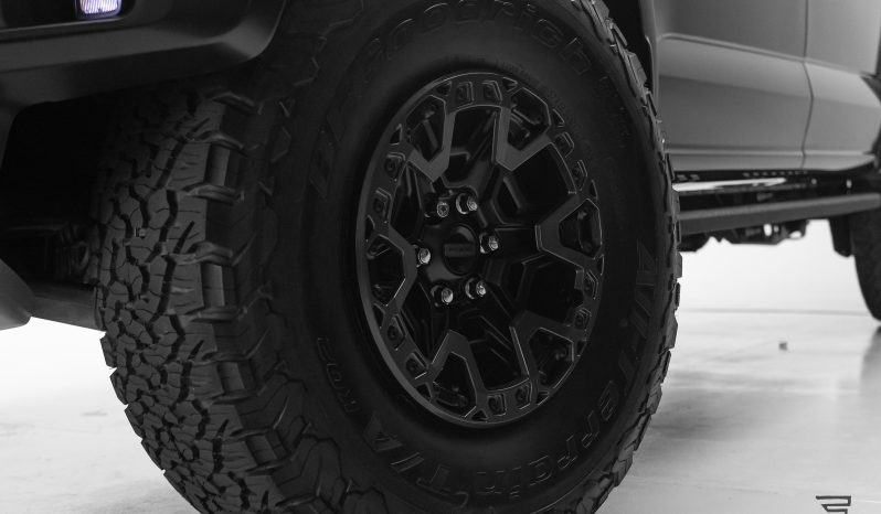 Ford Raptor R completo